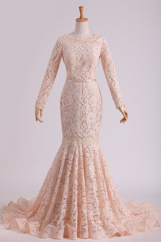 2024 Long Sleeves Wedding Dresses Scoop Lace With Sash Sweep Train Champagne