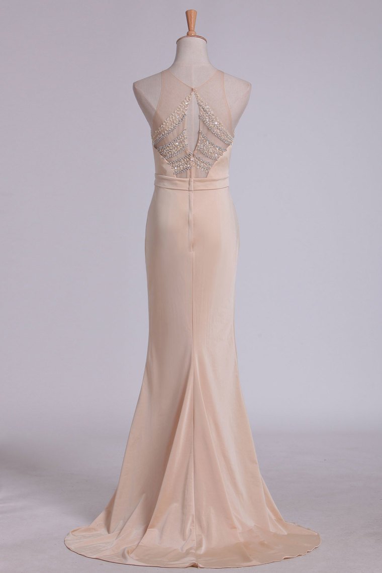 Evening Dresses Sheath Scoop Spandex With Beading Sweep Train