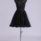 Scoop Prom Dress A Line Tulle Skirt Embellished Bodice With Beads & Applique Cap Sleeve Mini