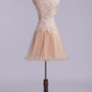 Homecoming DressesTwo Pieces Scoop Tulle With Applique Mini