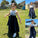 Sleeveless Taffeta A-Line/Princess Tea-Length Scoop Bowknot Flower Girl Dresses
