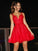 Straps Sleeveless Spaghetti Tulle Applique A-Line/Princess Short/Mini Homecoming Dresses
