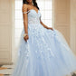 Sleeveless Off-the-Shoulder Tulle A-Line/Princess Applique Sweep/Brush Train Dresses