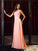 Applique Neck A-Line/Princess Sleeveless High Long Chiffon Dresses