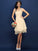 V-neck A-Line/Princess Lace Sleeveless Short Bridesmaid Dresses