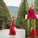 Tulle Applique A-Line/Princess Sleeveless V-neck Floor-Length Dresses